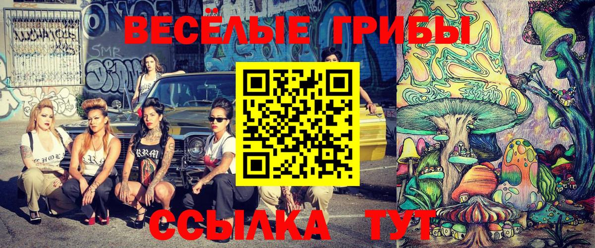 Юрга  наркотики  Вход с VPN  Псилоцибиновые грибы Cubensis 