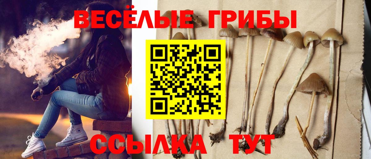 Галлюциногенные грибы MAGIC MUSHROOMS Юрга